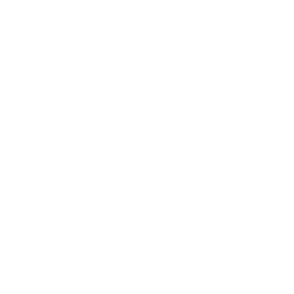 Brand Performance Programme Logo