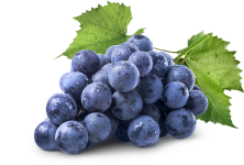 Organic Grape