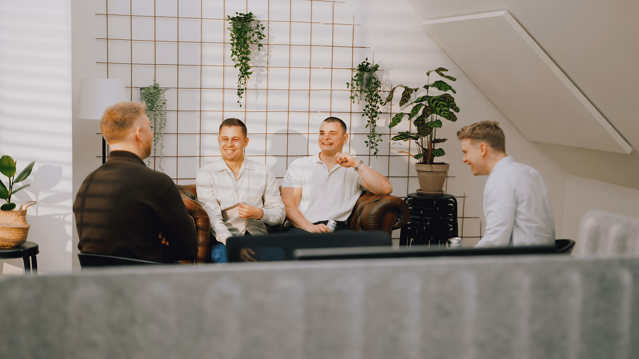 Fire unge mænd sidder og taler afslappet i et lyst rum med grønne planter på væggen.