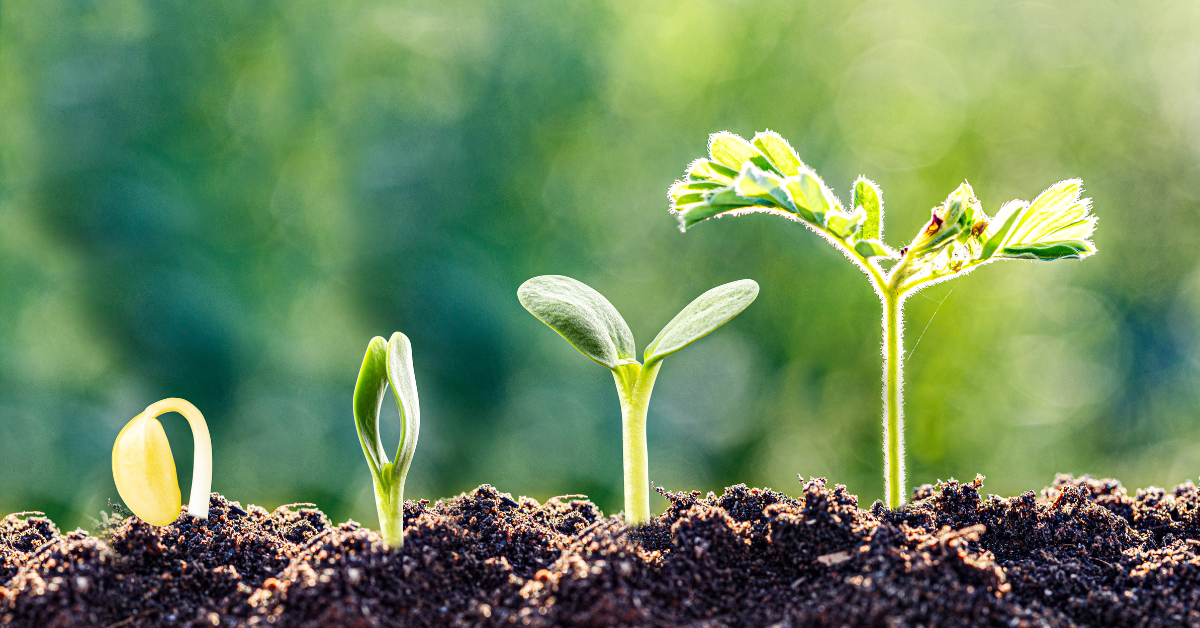 Growth Happens in the Space Between
