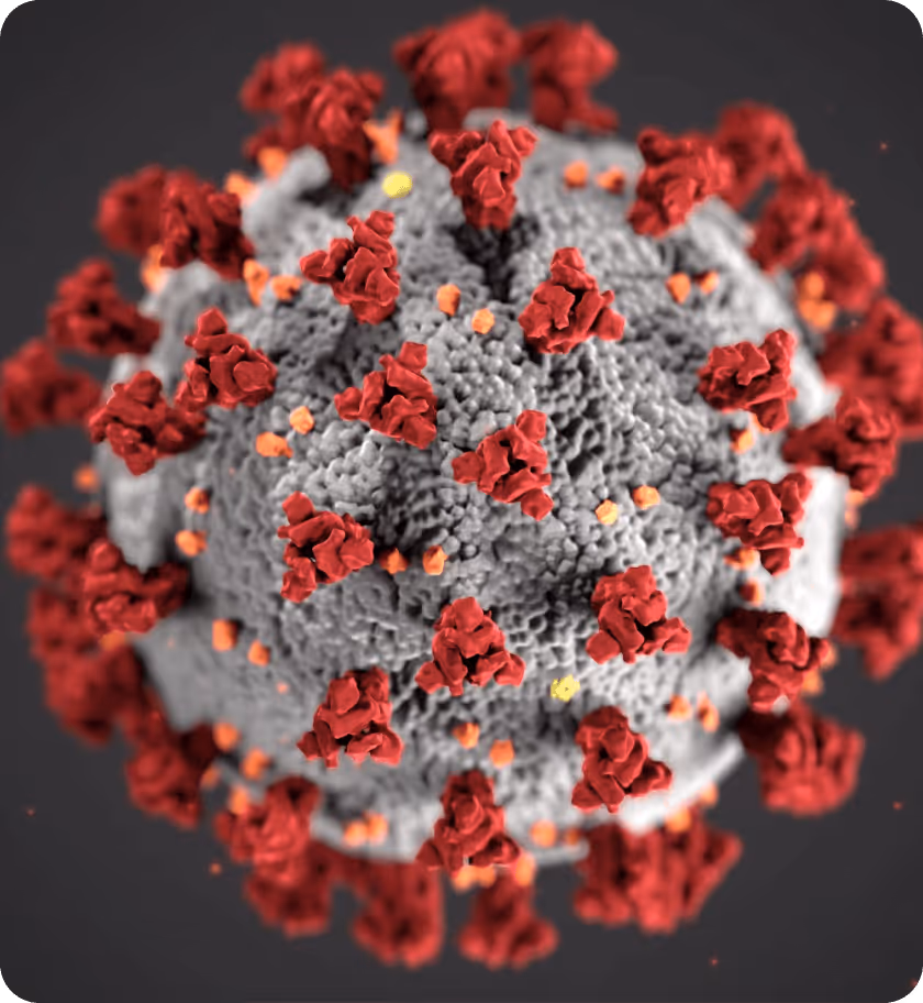 coronavirus particle