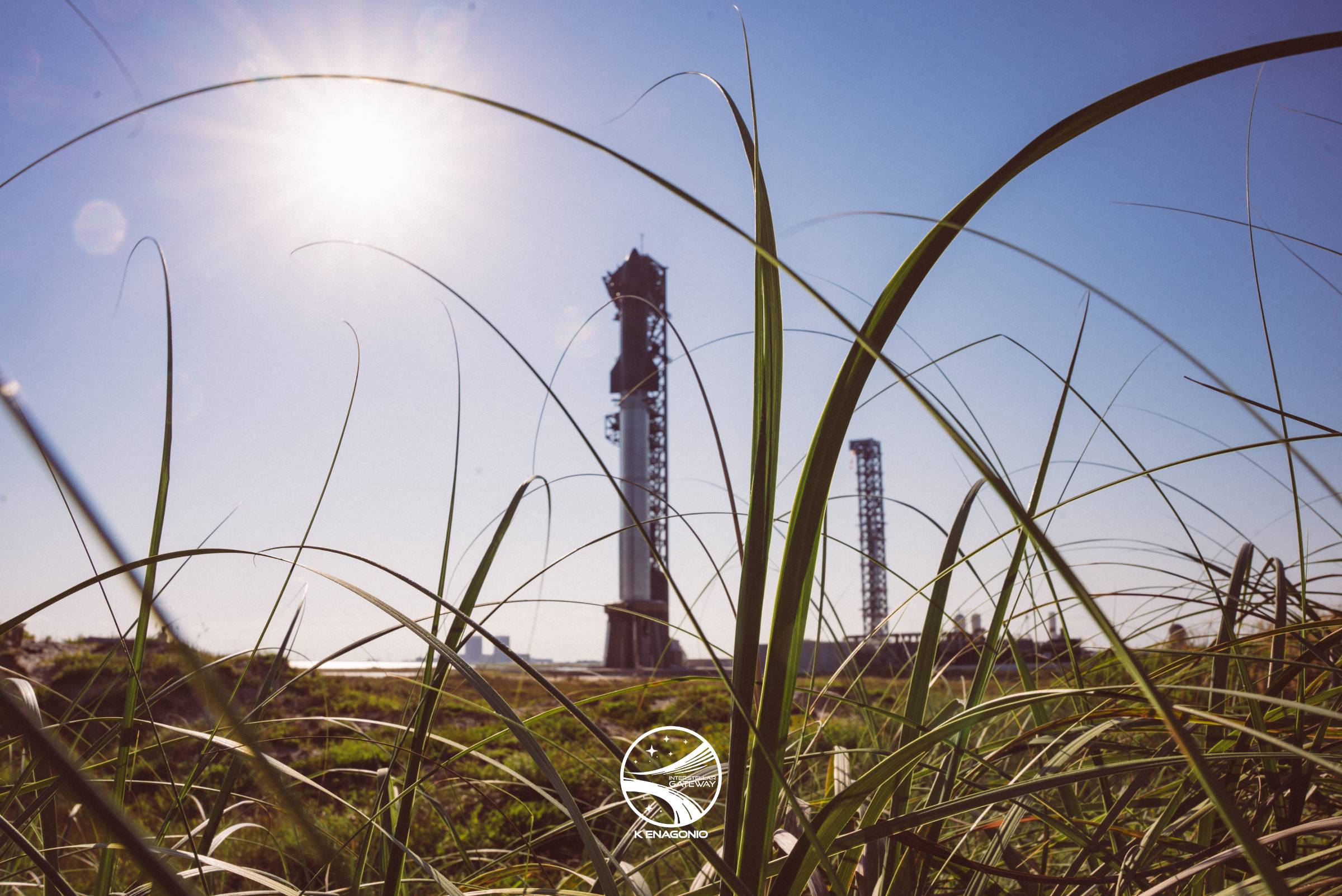 Starship and its launch tower at Starbase seen through dune grass, the sun flaring above the vehicle.