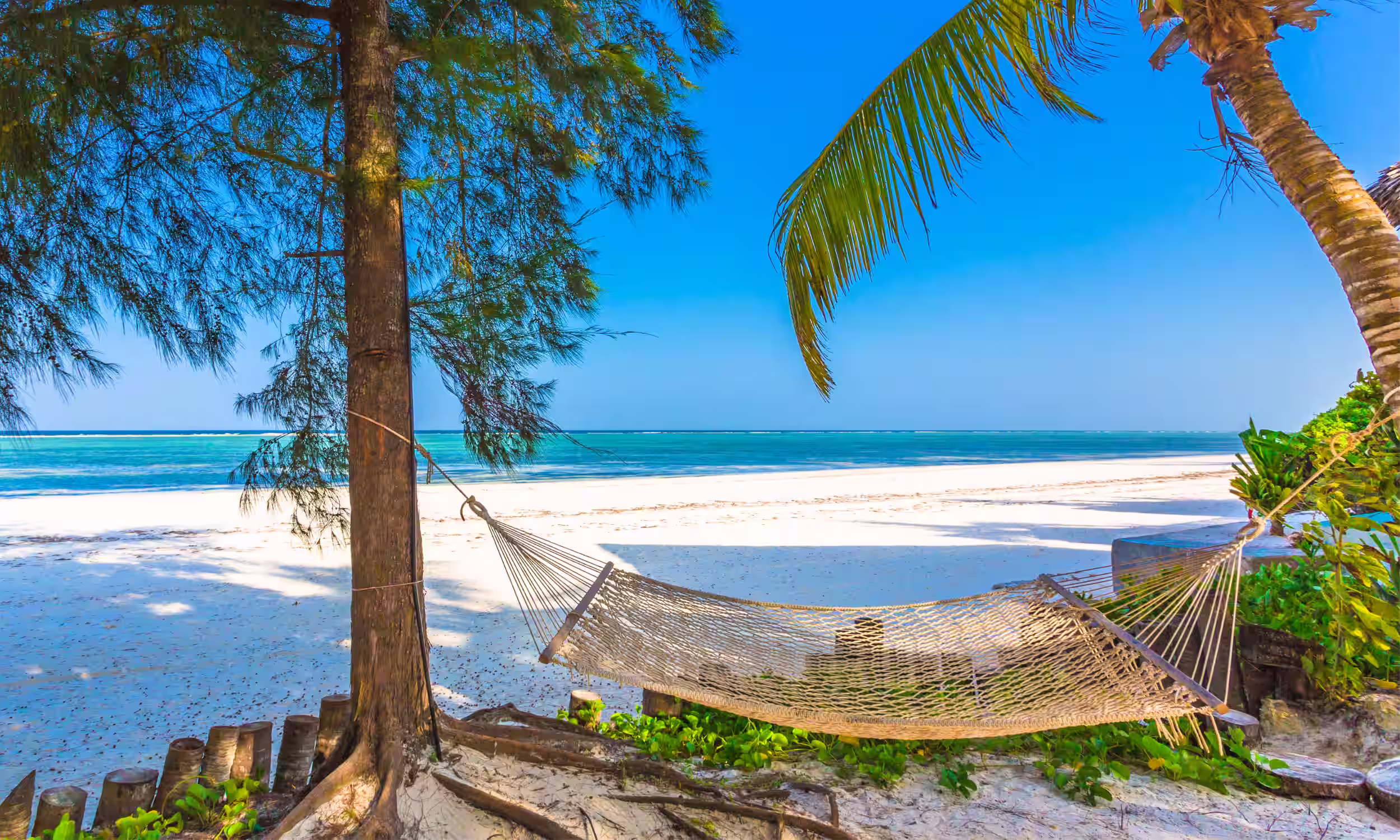 Hammock under palm trees in Zanzibar, the perfect tropical setting to relax on a honeymoon.