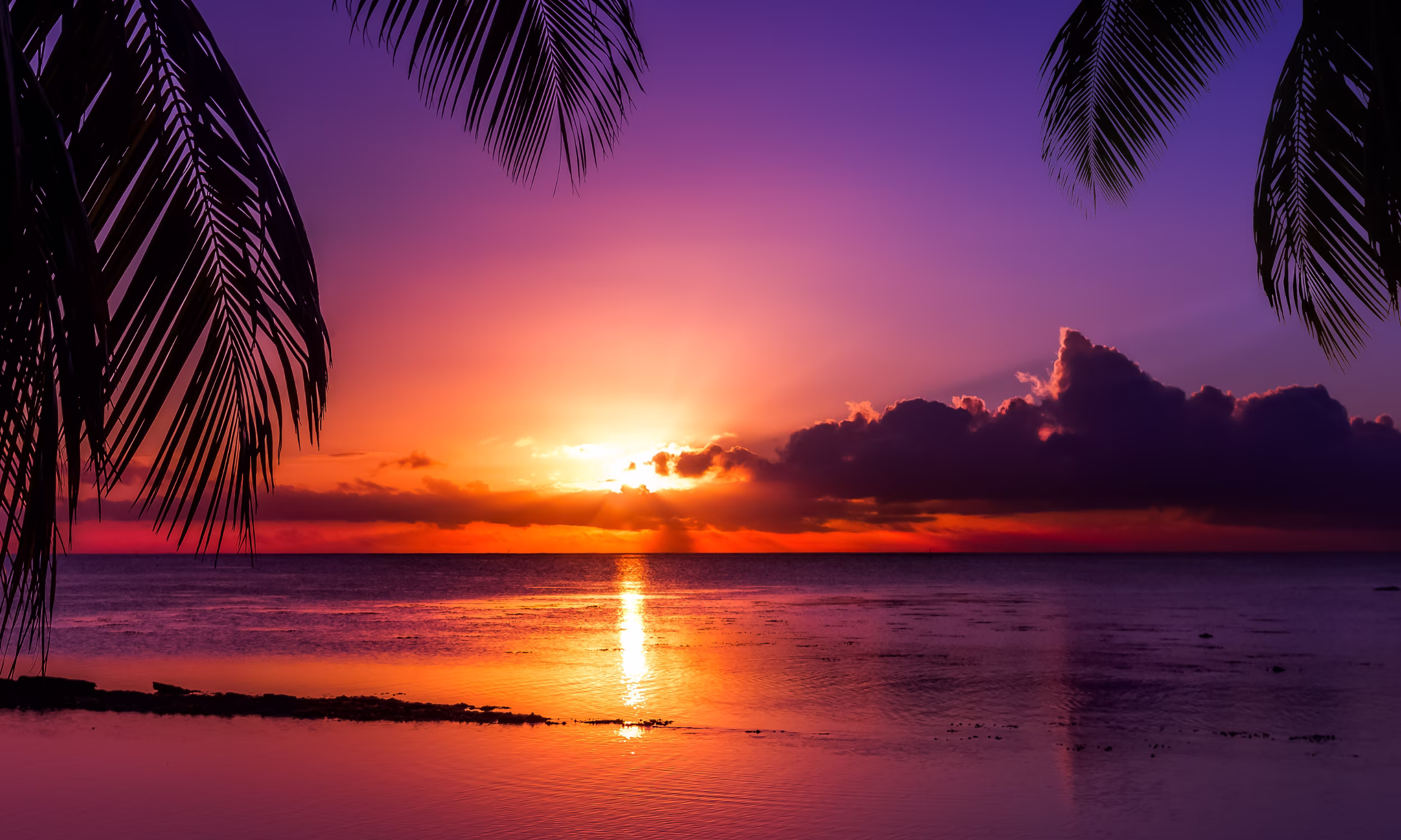 Romantic sunset in the Cook Islands with palm trees in silhouette.