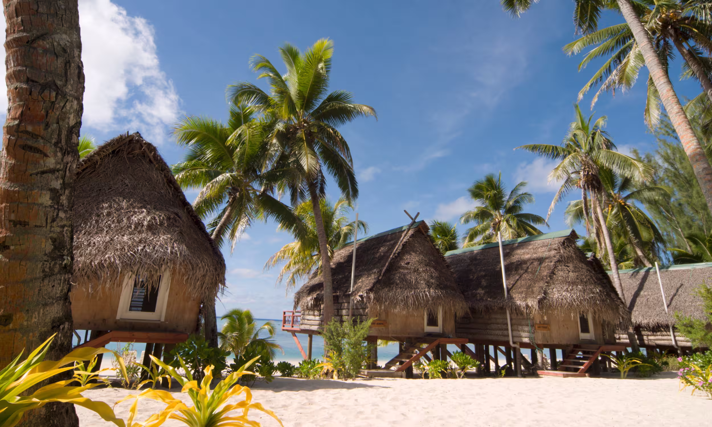 Traditional thatched bungalows on a sandy beach in the Cook Islands, surrounded by palm trees and overlooking turquoise ocean waters.