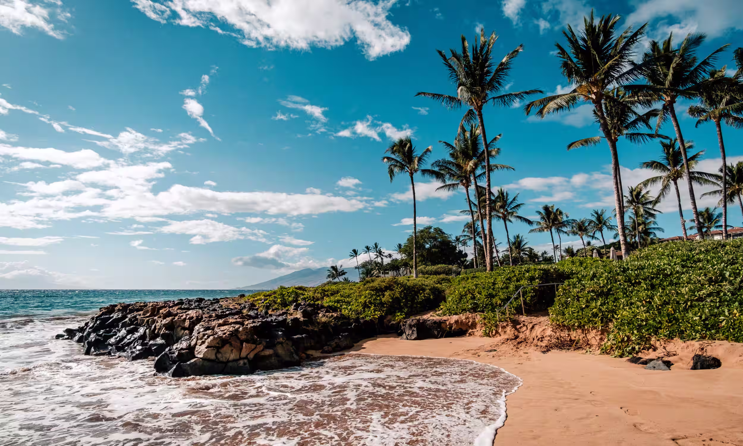 Romantic tropical beach with palm trees and turquoise water in Hawaii.