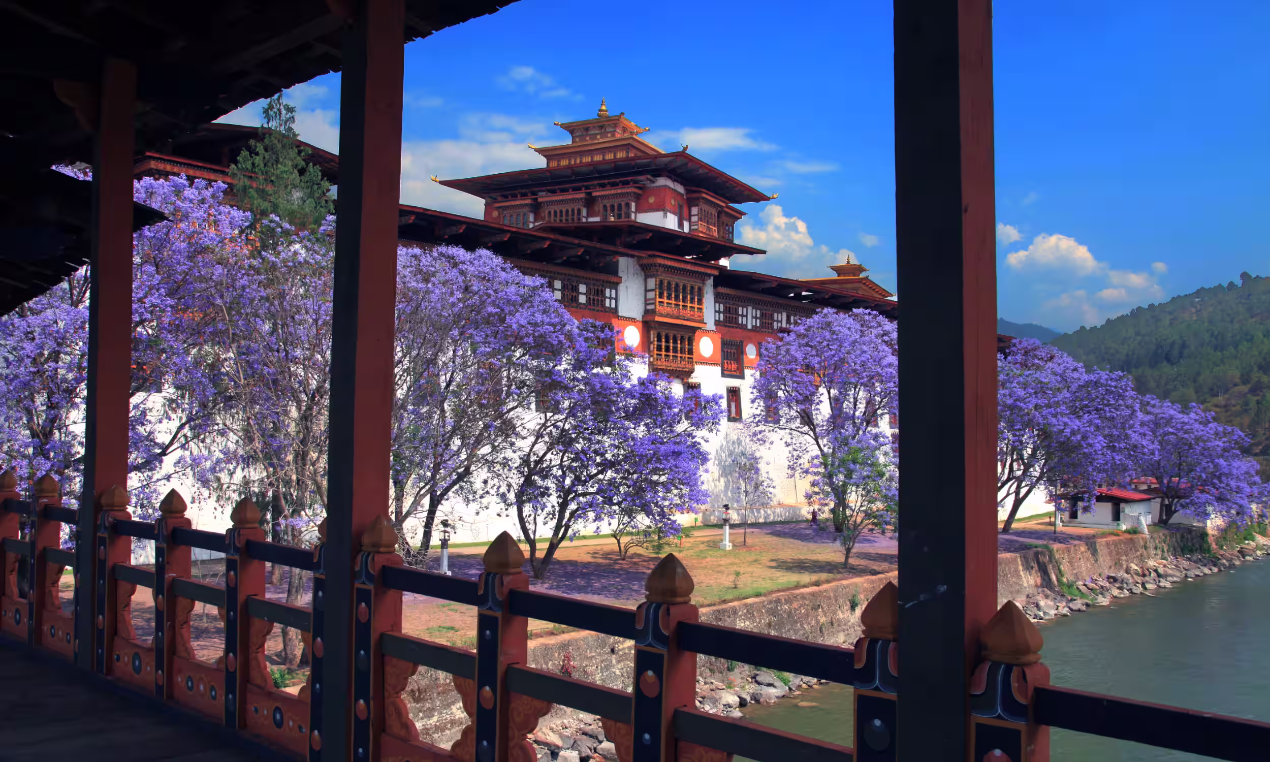 Punakha Dzong bridge with temple and flowers in the background, a romantic Bhutan honeymoon setting. 
