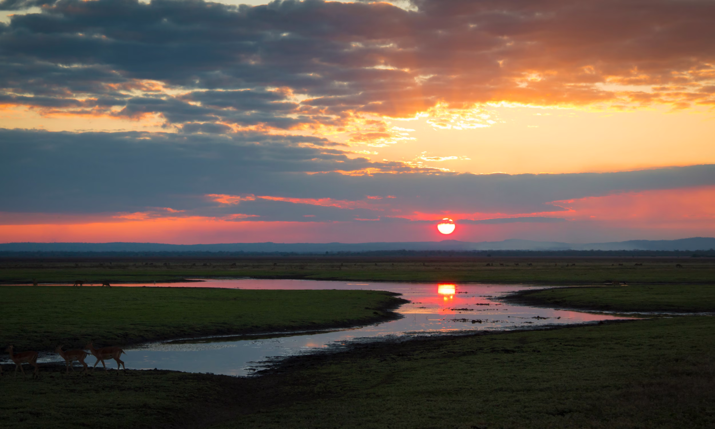 Sunset over Gorongosa National Park with savannah and winding waterways.