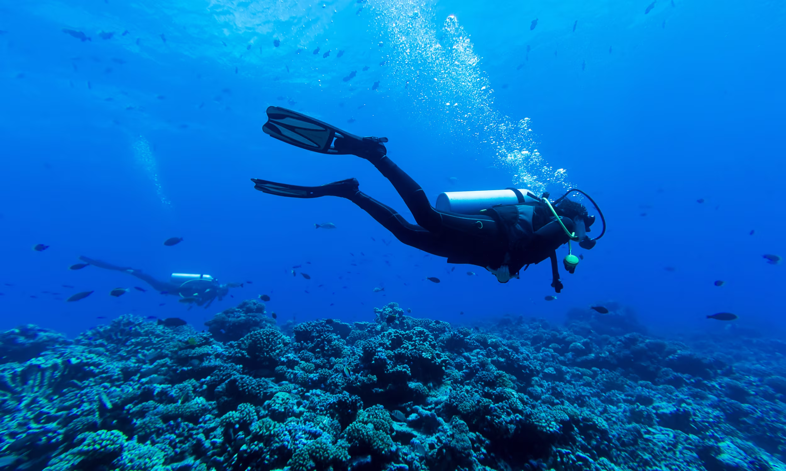 Scuba diver exploring coral reefs with tropical fish. 