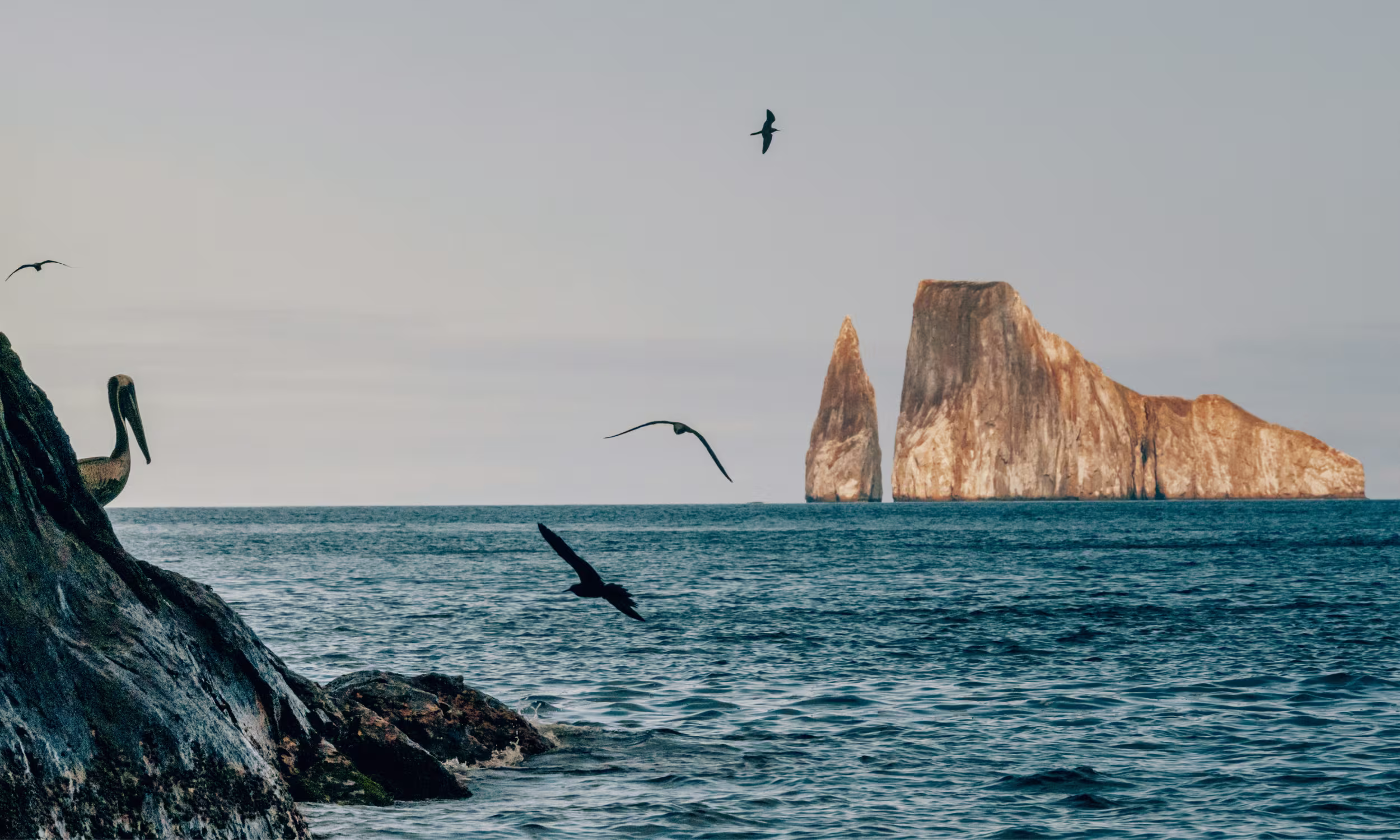 Kicker Rock in the Galápagos Islands at sunset, an iconic honeymoon setting