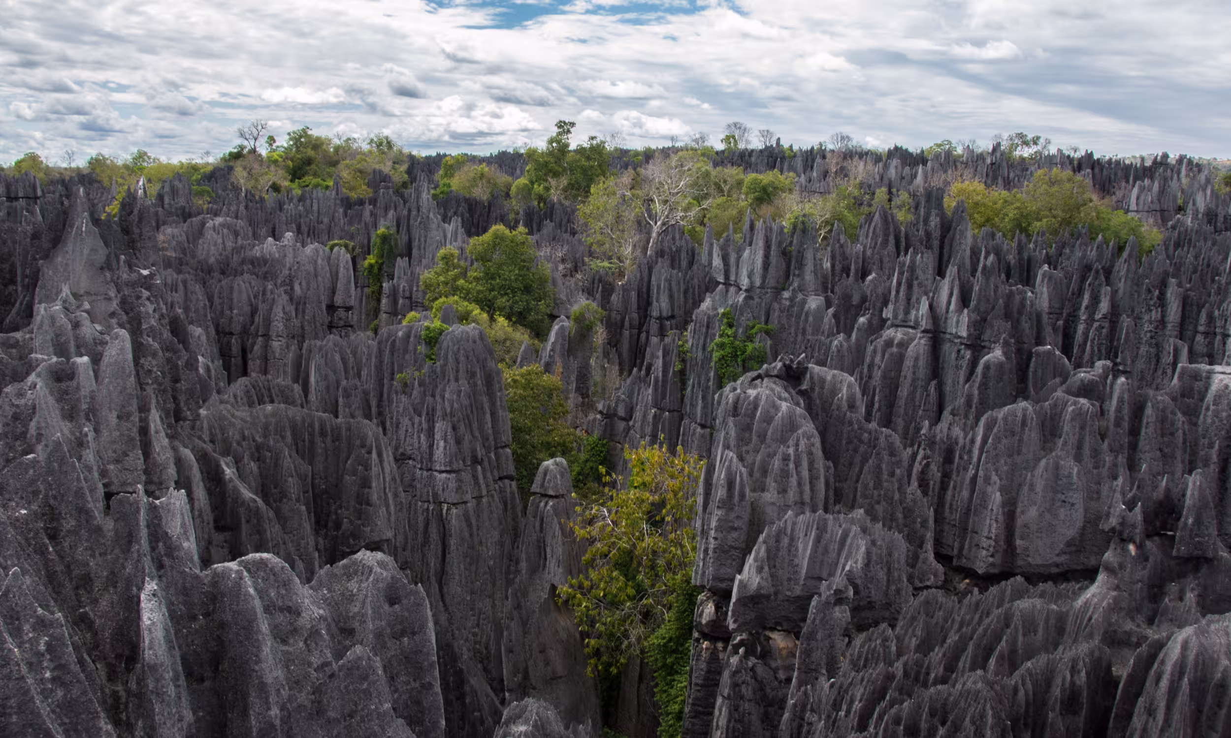 Sharp limestone rock formations known as tsingy in Madagascar.