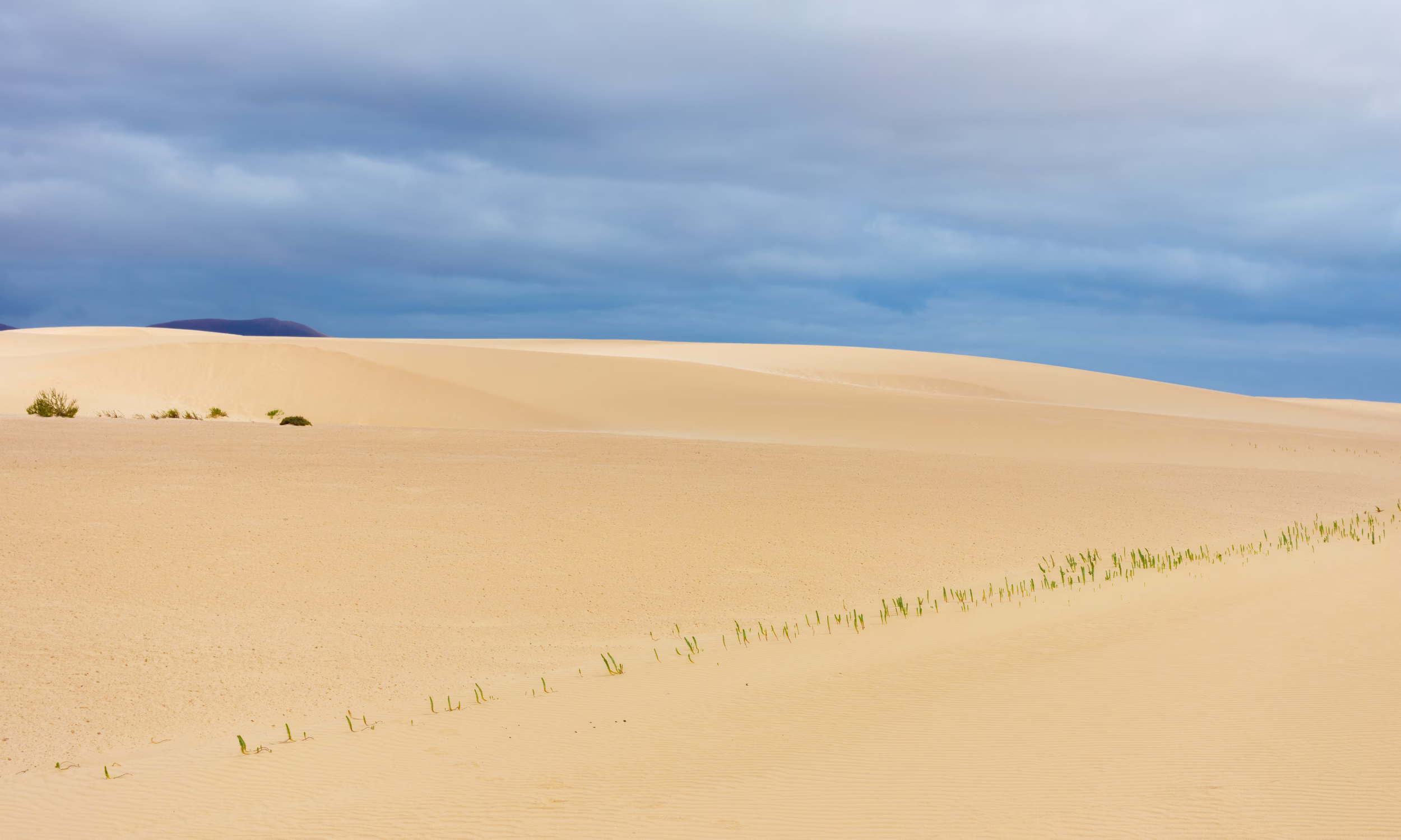 Dunas de Corralejo em Fuerteventura, com areia dourada e paisagens atlânticas amplas numa lua de mel nas Ilhas Canárias.