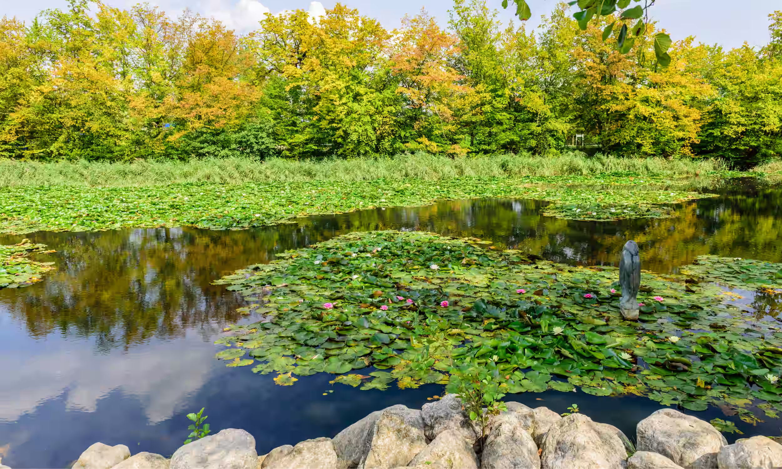 Picturesque pond in Tivoli Park, surrounded by greenery in Ljubljana, ideal for a peaceful honeymoon moment.
