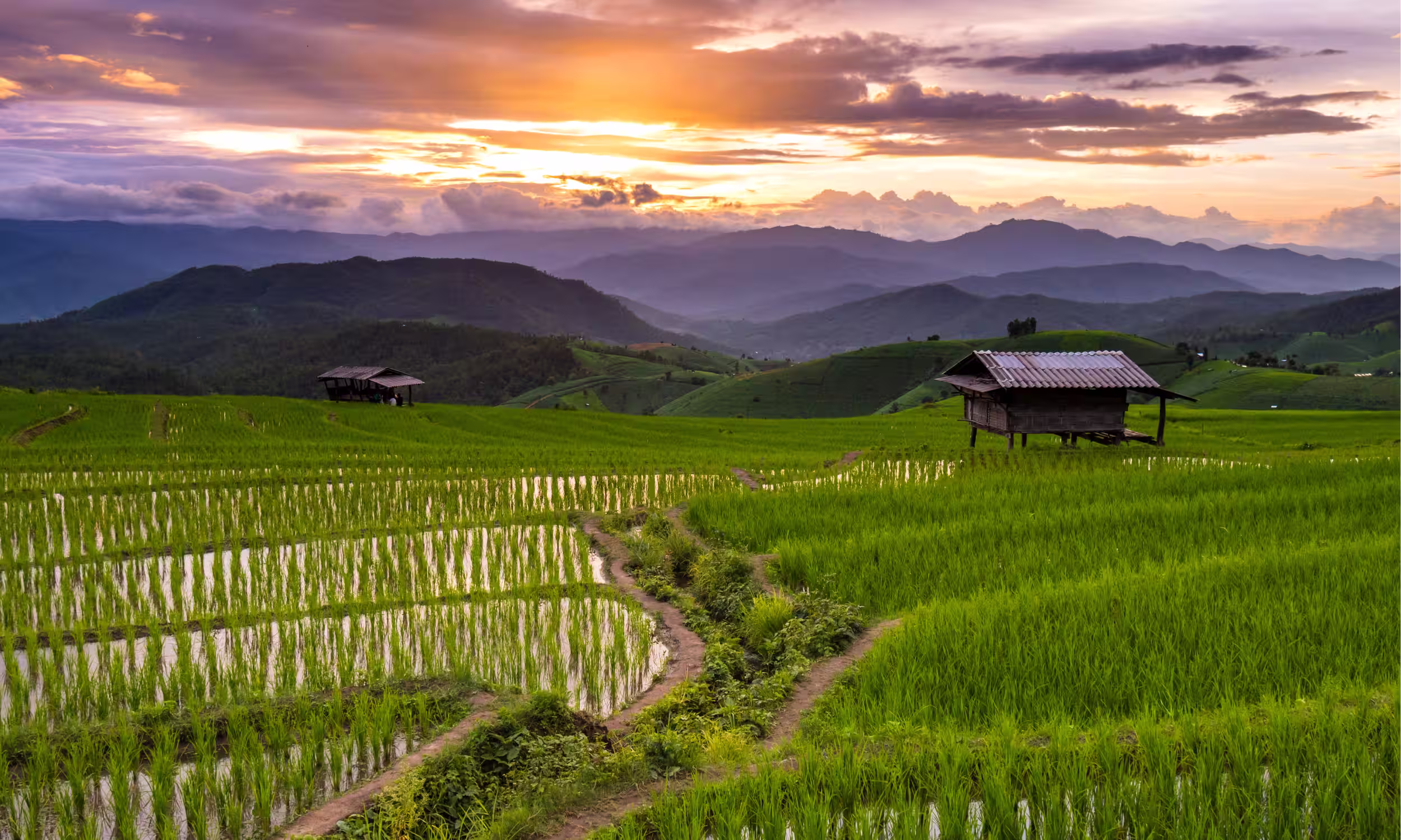 Arrozais em socalcos e cabanas tradicionais nas montanhas de Chiang Mai.