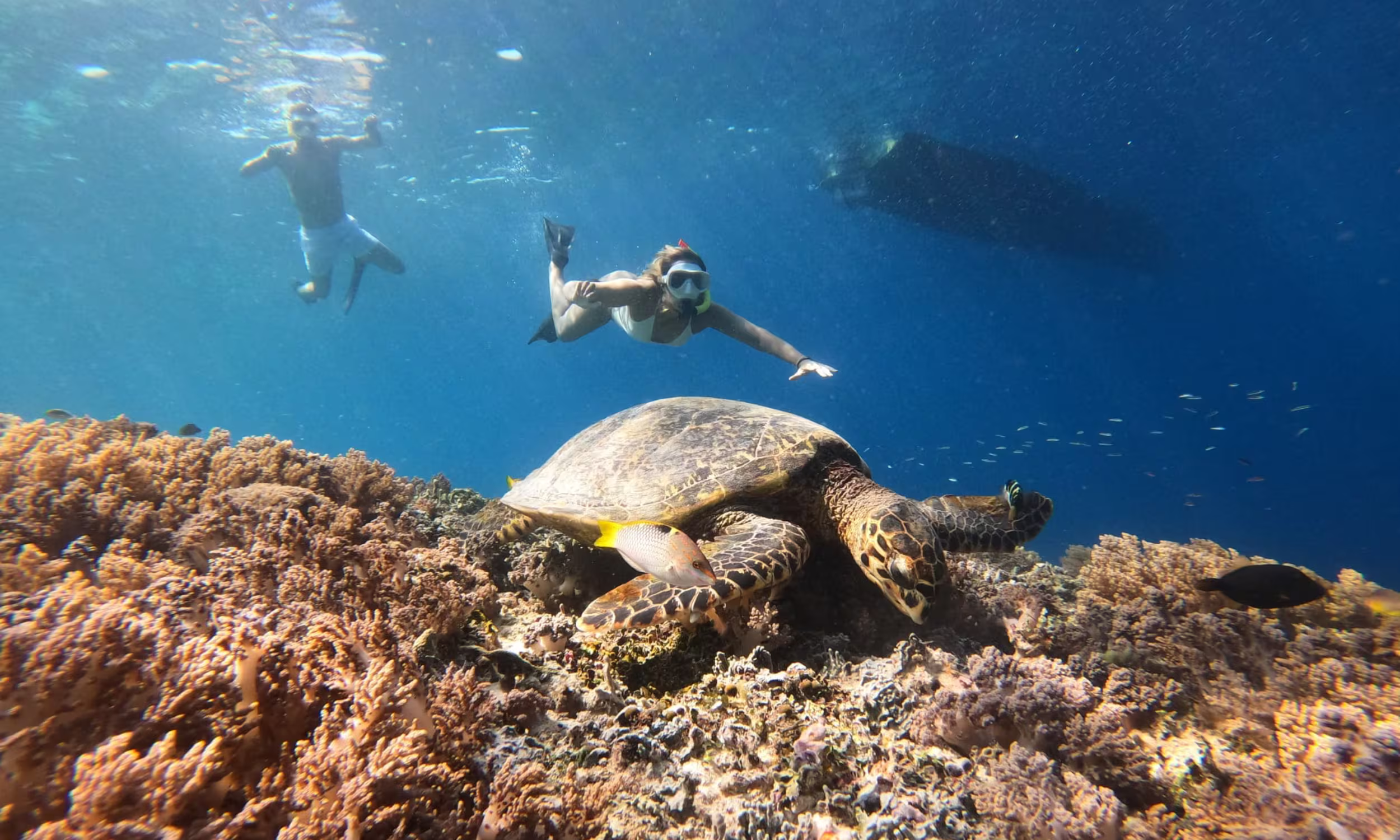 Maria and Gabriel snorkeling with sea turtles during their honeymoon in Bali, Nusa Penida, and the Gili Islands.