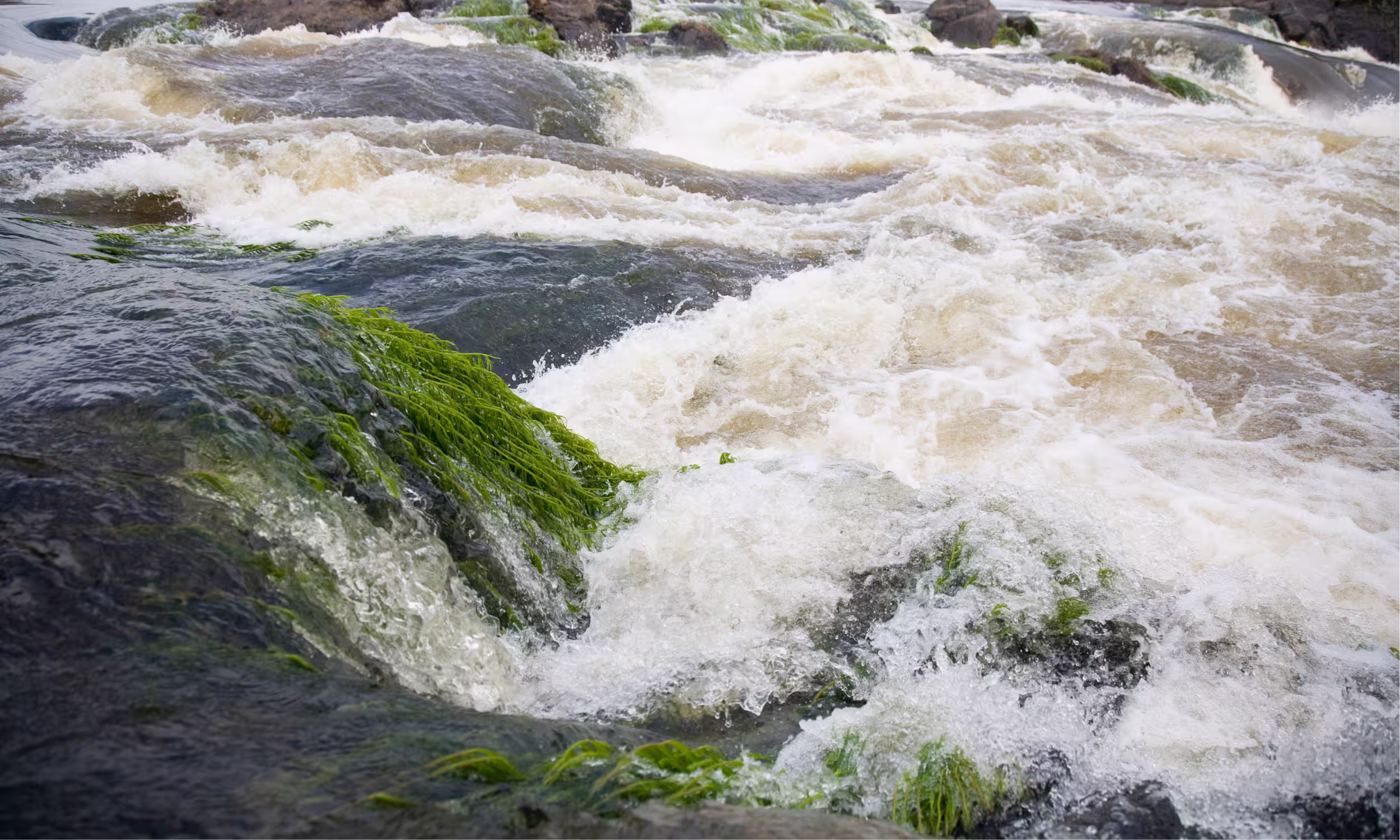 Waterfalls surrounded by the tropical rainforest in Suriname.