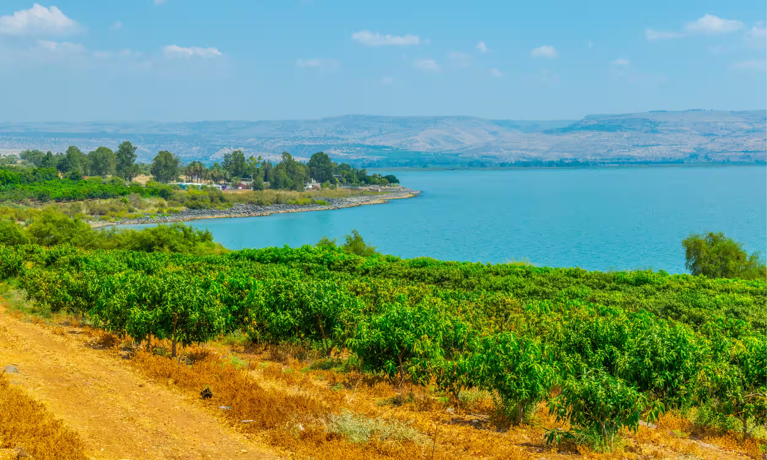 Vista panorâmica do Mar da Galileia rodeado por colinas verdes em Israel.