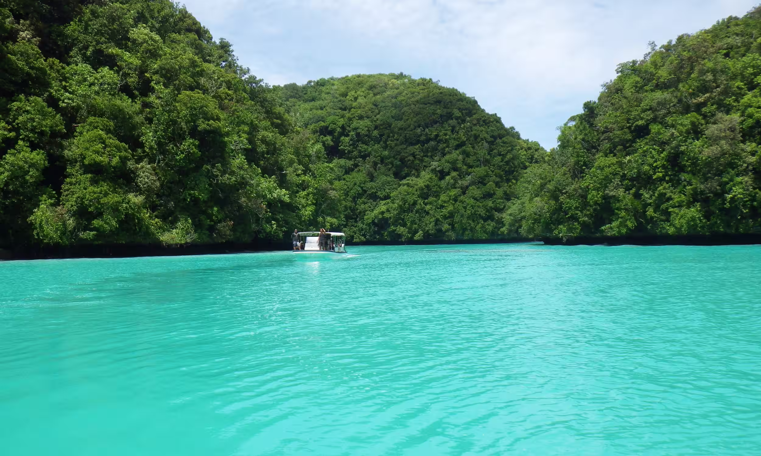 Águas azul-esverdeadas da lagoa Milky Way rodeadas por vegetação tropical em Palau.