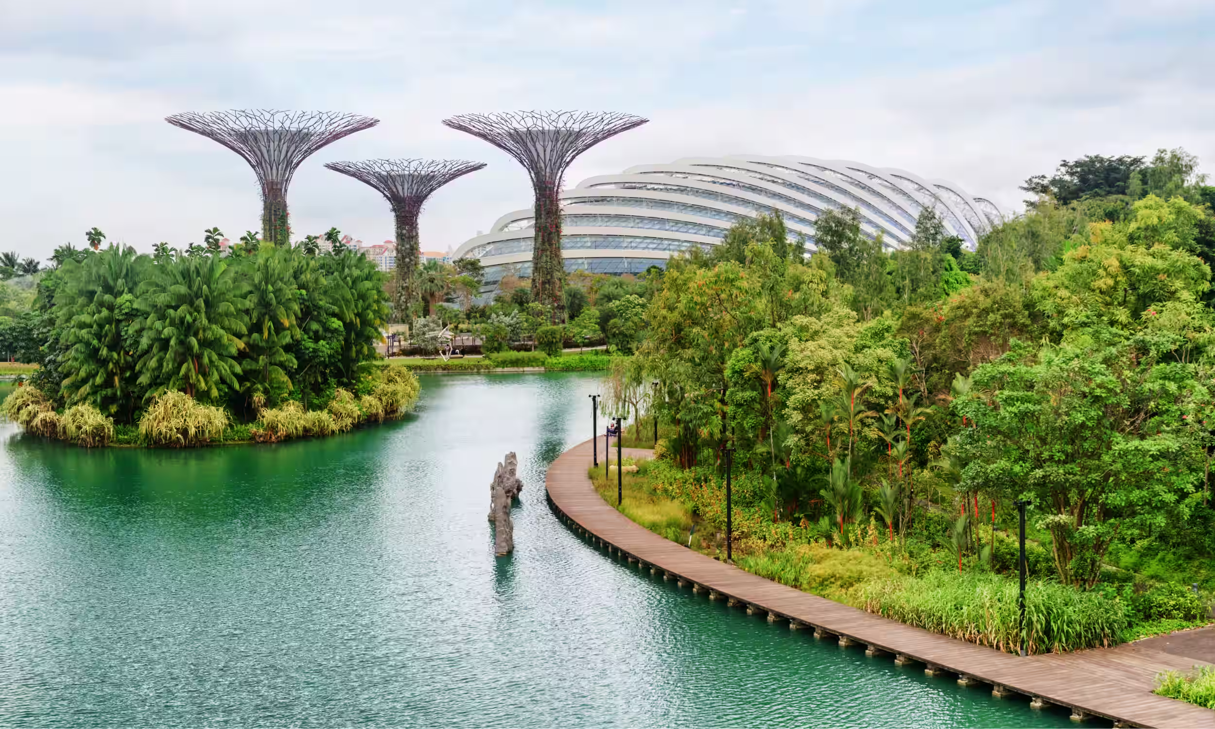 Vista panorâmica dos Gardens by the Bay com as Supertrees e a vegetação exuberante de Singapura.