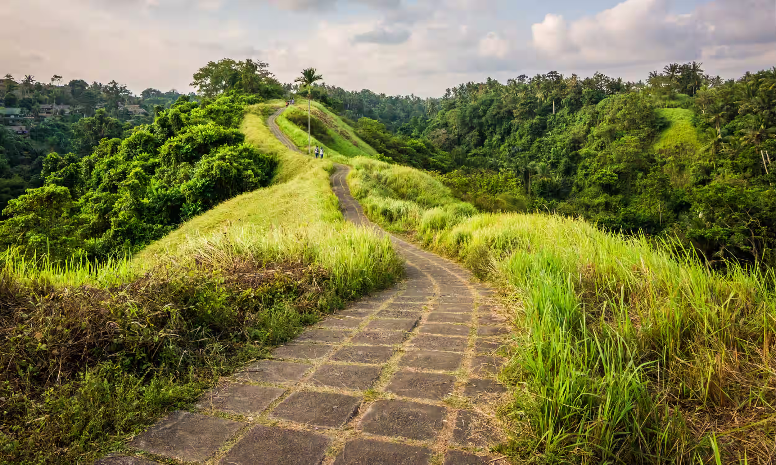 Campuhan Ridge Walk winding through lush hills and tropical vegetation in Ubud, Bali.