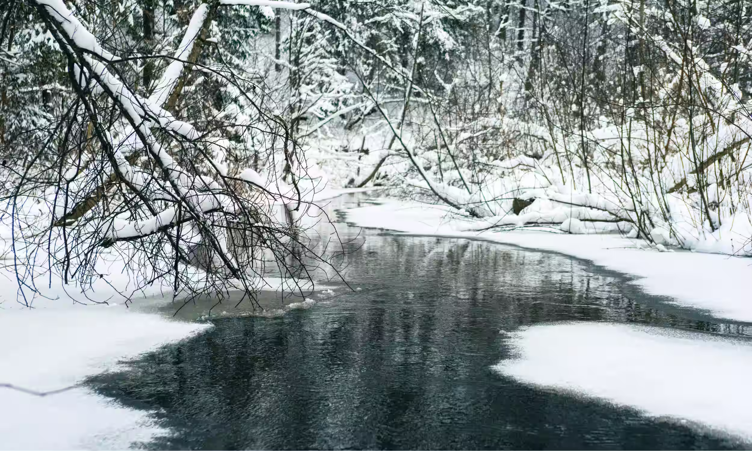 Rio rodeado por árvores cobertas de neve numa paisagem de inverno em Vilnius, Lituânia.