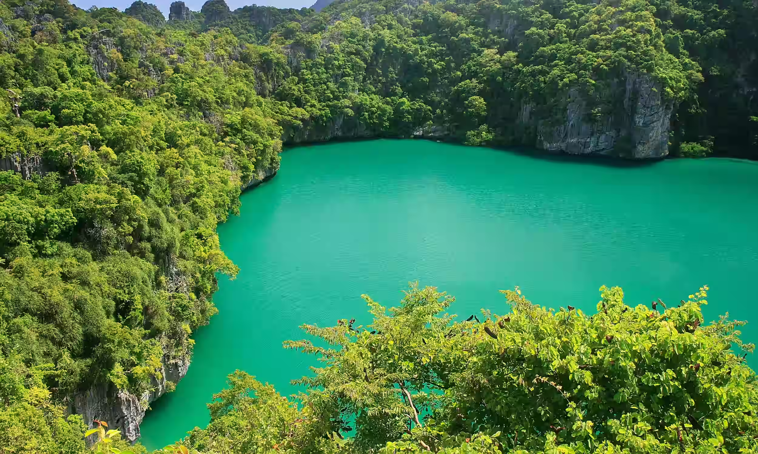 Thale Nai saltwater lagoon surrounded by lush vegetation on Mae Ko Island in Ang Thong National Marine Park.