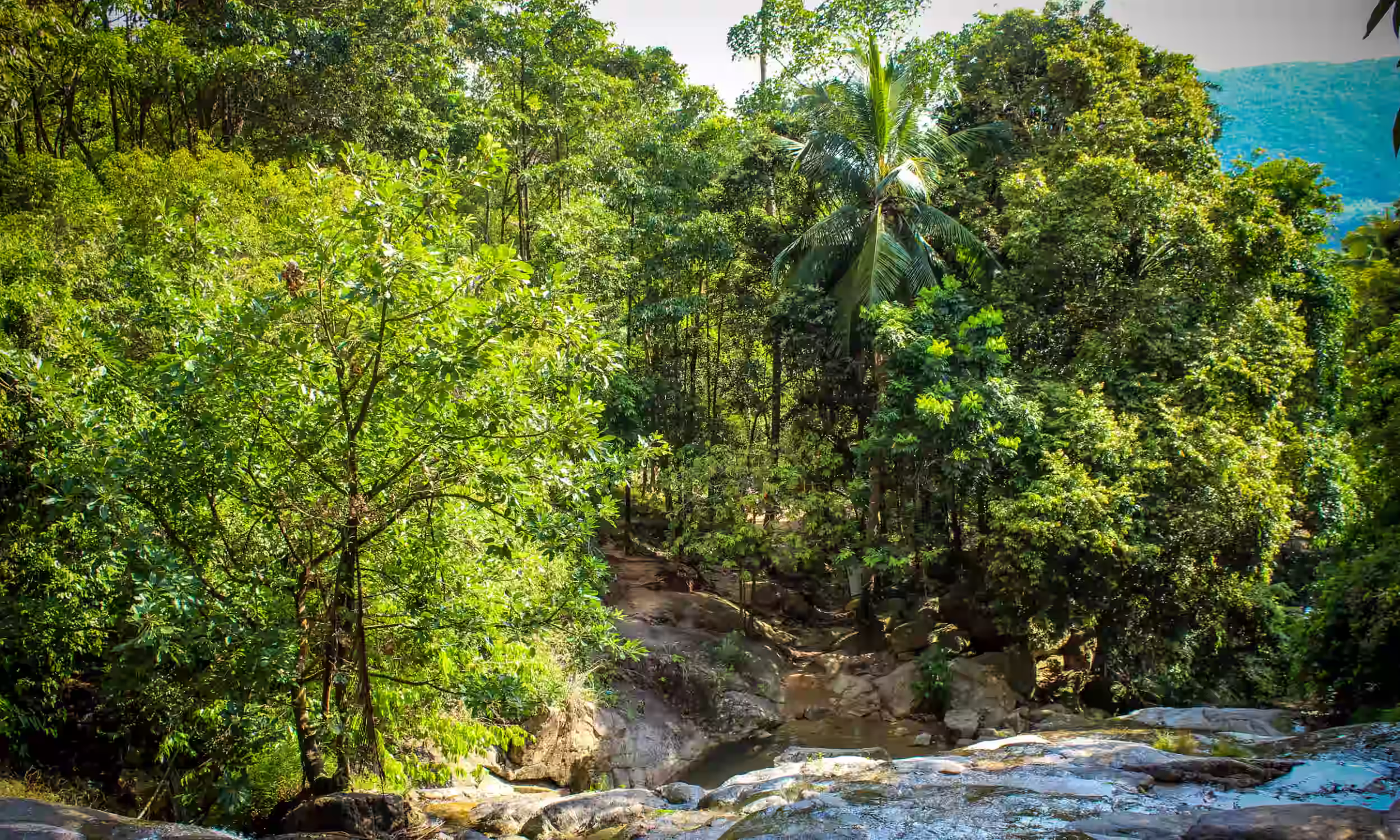Na Muang Waterfall and natural pool surrounded by tropical vegetation in Koh Samui, Thailand.