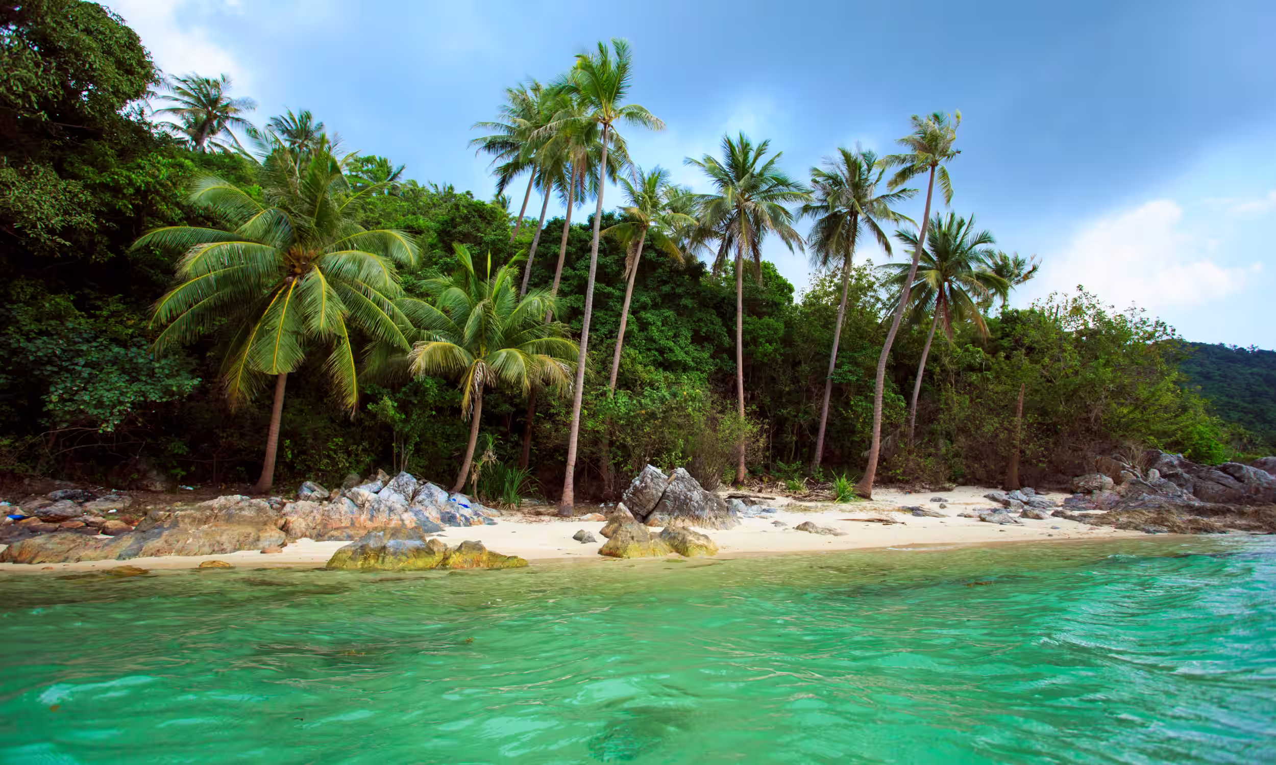 Tropical Taling Ngam Beach with palm trees and calm waters on the west coast of Koh Samui, Thailand.