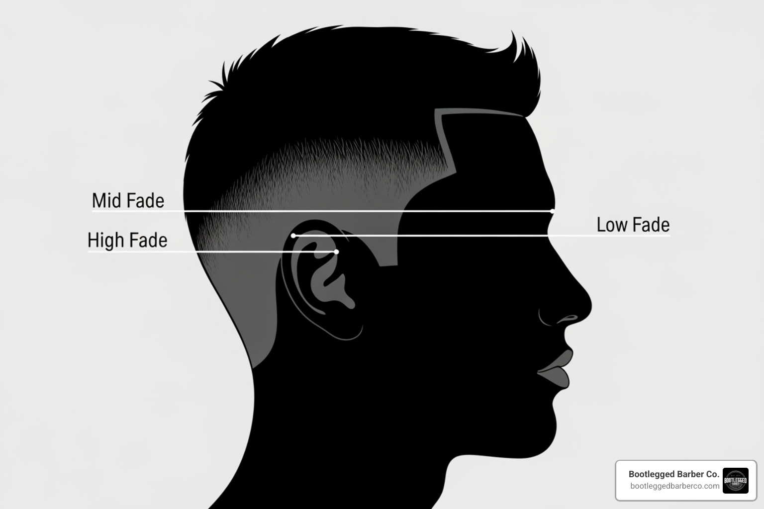 illustration of the starting points of a low, mid, and high fade on a head silhouette - balding skin fade