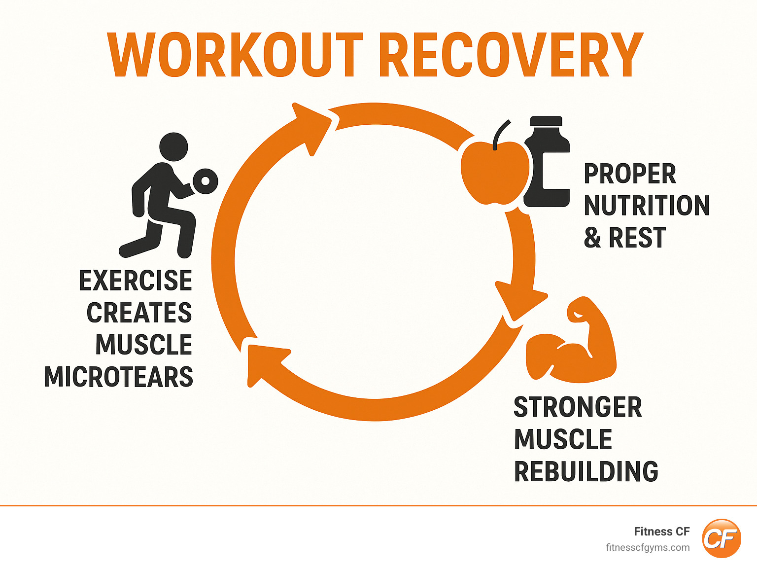 Beyond the Ice Bath: The 3 Non-Negotiables of Muscle Repair