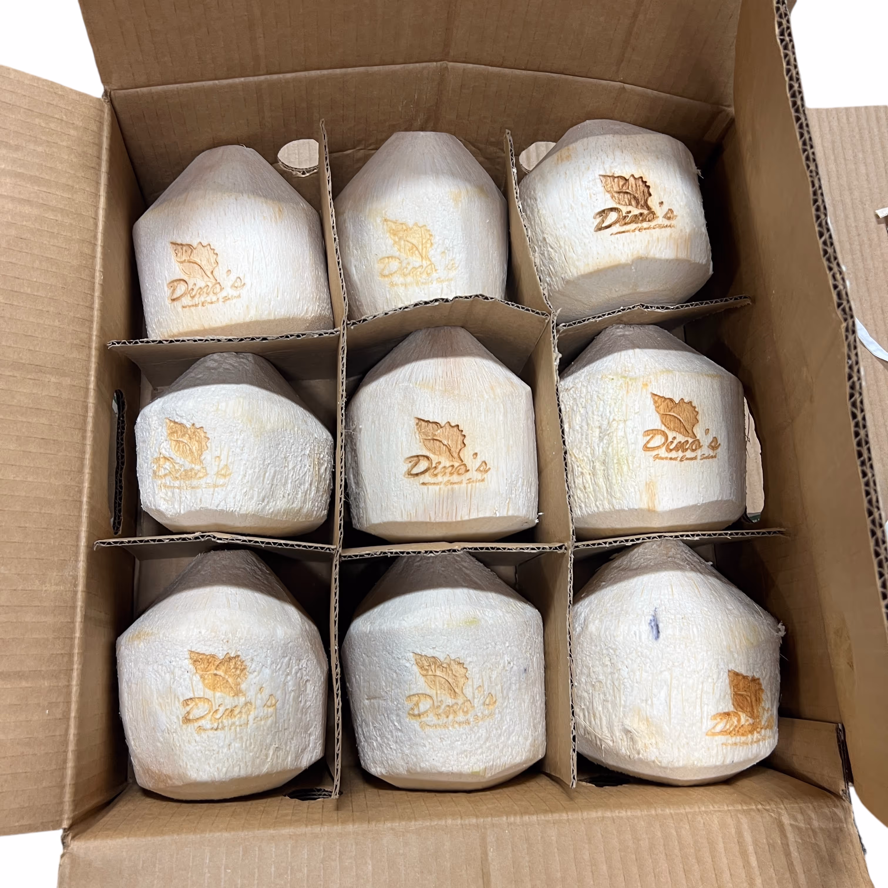 Laser Engraved Coconuts_Miami fort lauderdale 