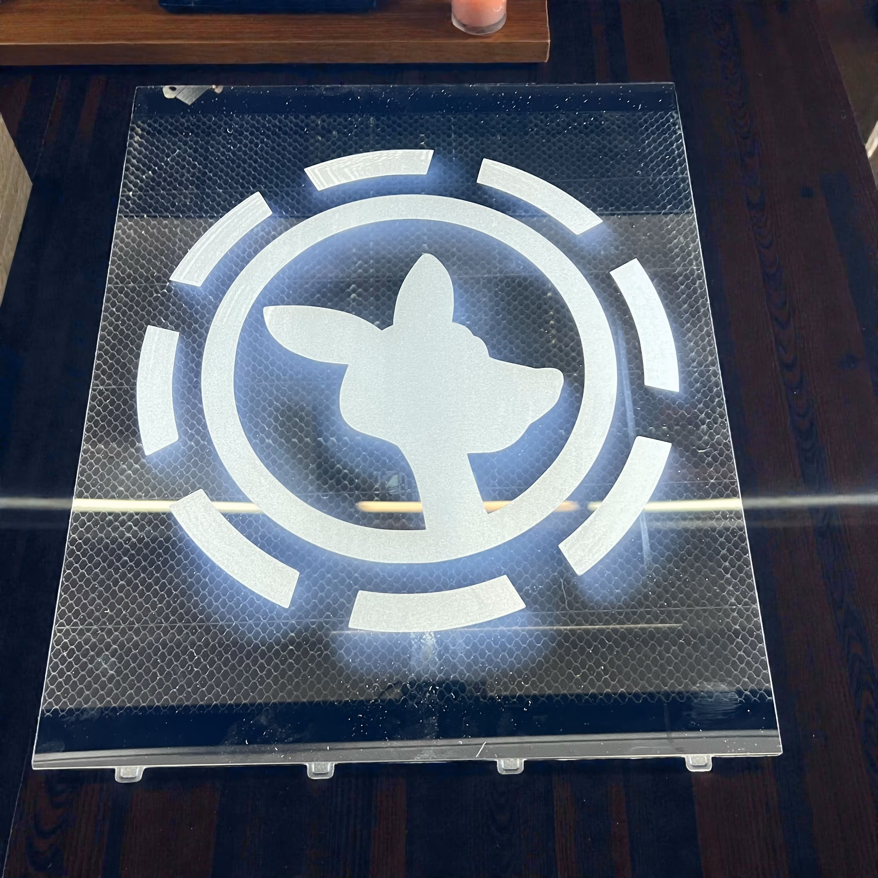 Laser Engraved Acrylic Deer Hologram Miami Fort Lauderdale