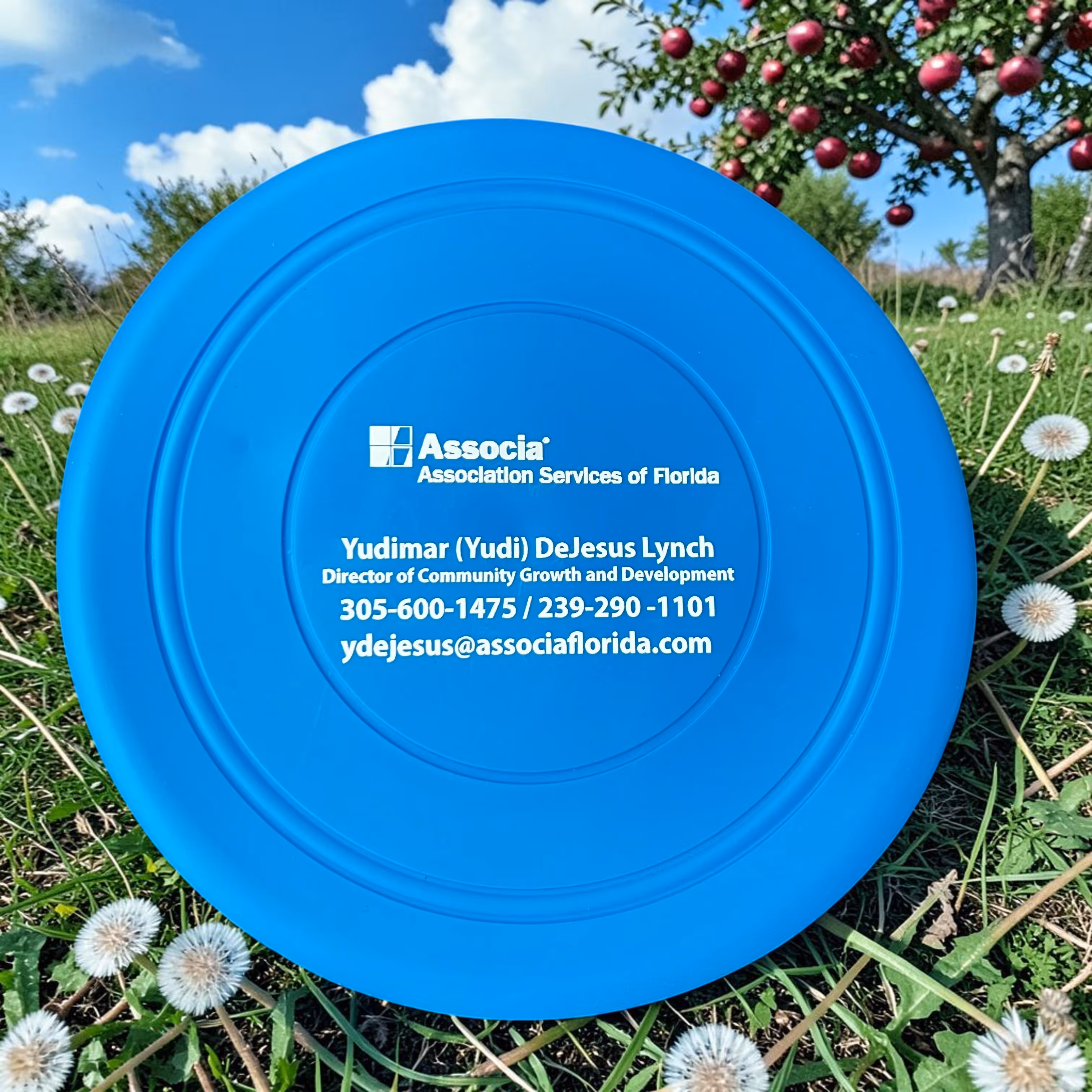 Laser Engraved Blue Frisbee with 'Associa' Logo Miami Fort Lauderdale