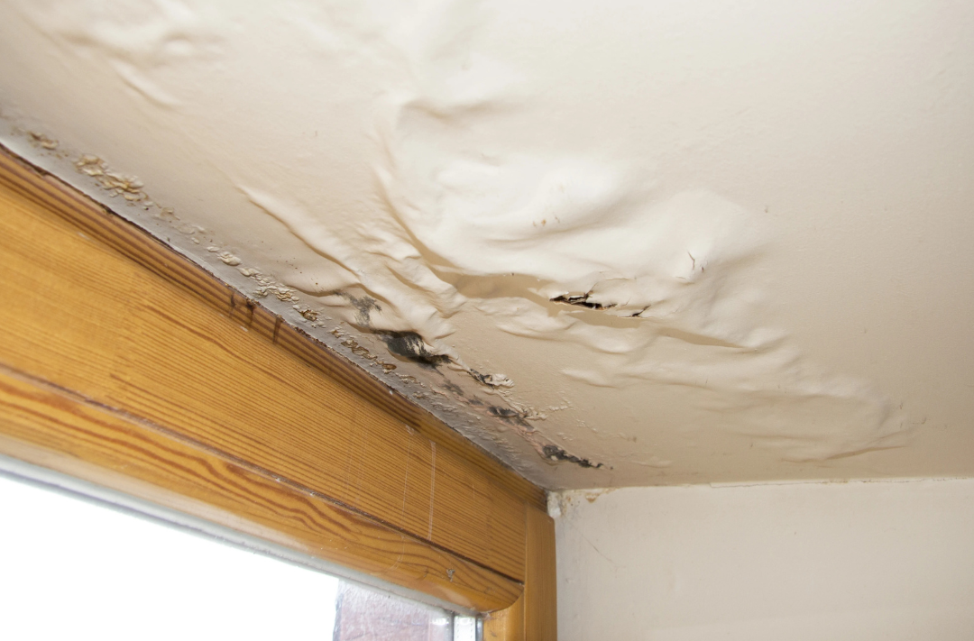 Attic Leak Water Damage Repair Calgary