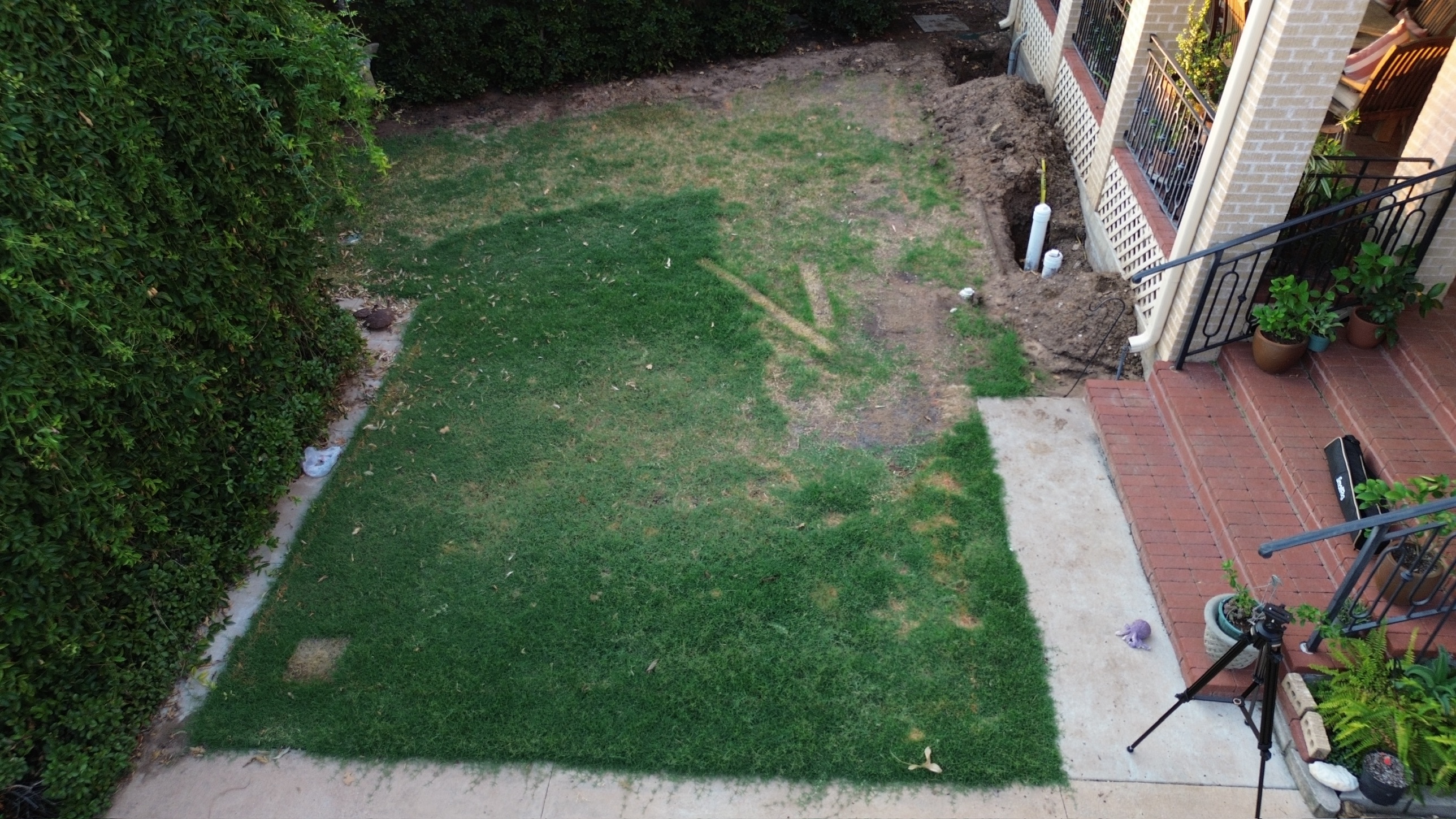 Backyard lawn before custom pool construction