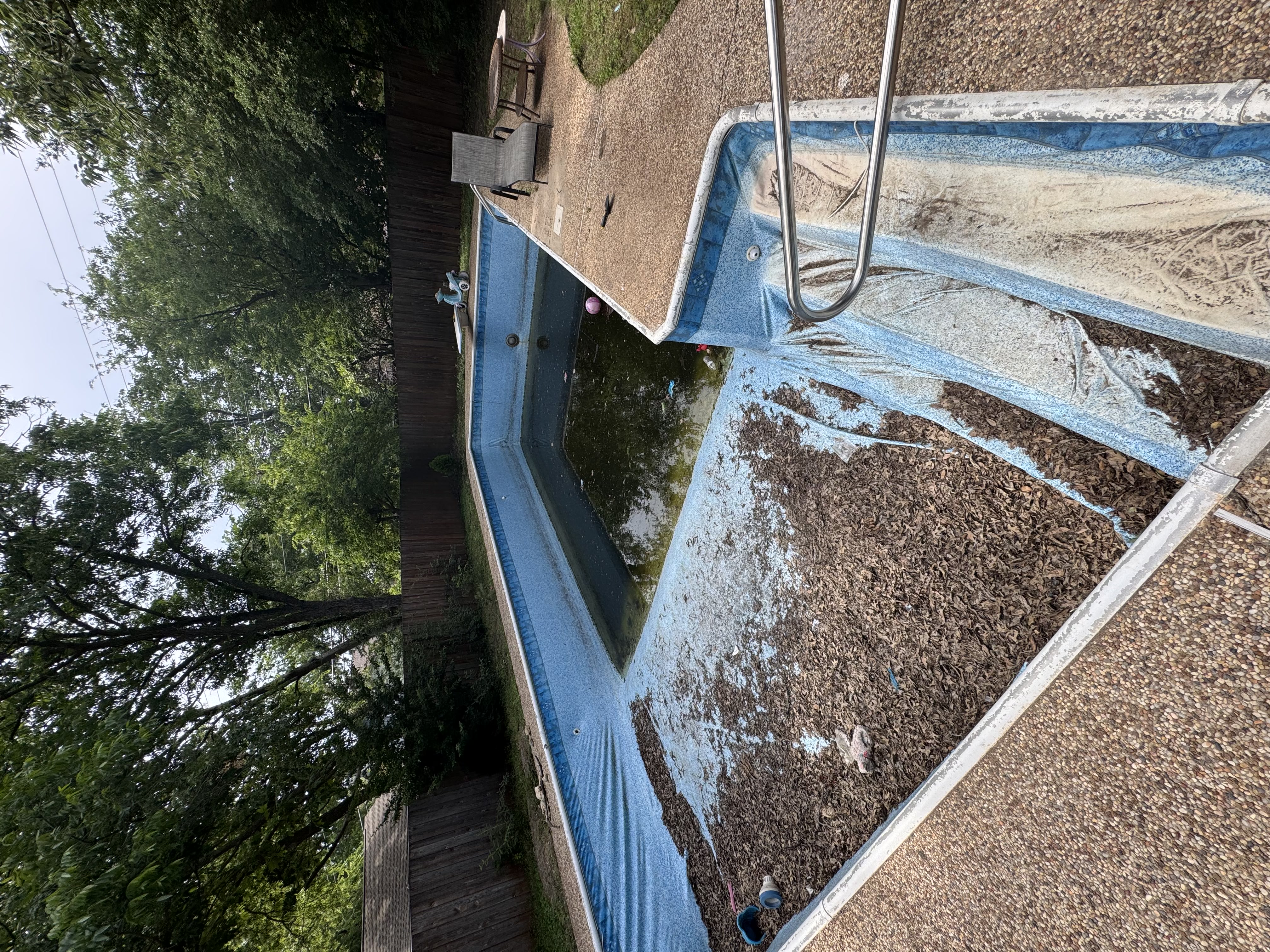 Old vinyl liner pool with torn liner, leaves, and green water before remodel