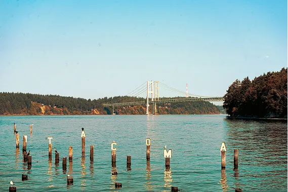 The Tacoma Narrows Bridge with the word "TACOMA" spelled out on wooden water pilings in the foreground.