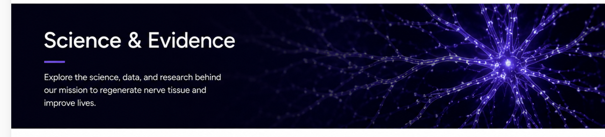 Neuron network