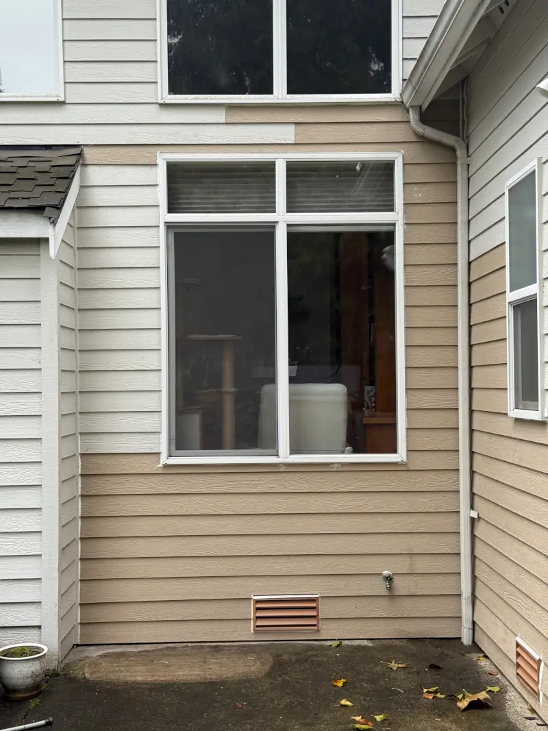 Structural Rot Remediation, before image