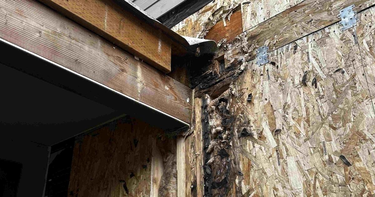 Close-up view of exterior wall damage on a Newcastle home showing severe wood rot and fungal decay