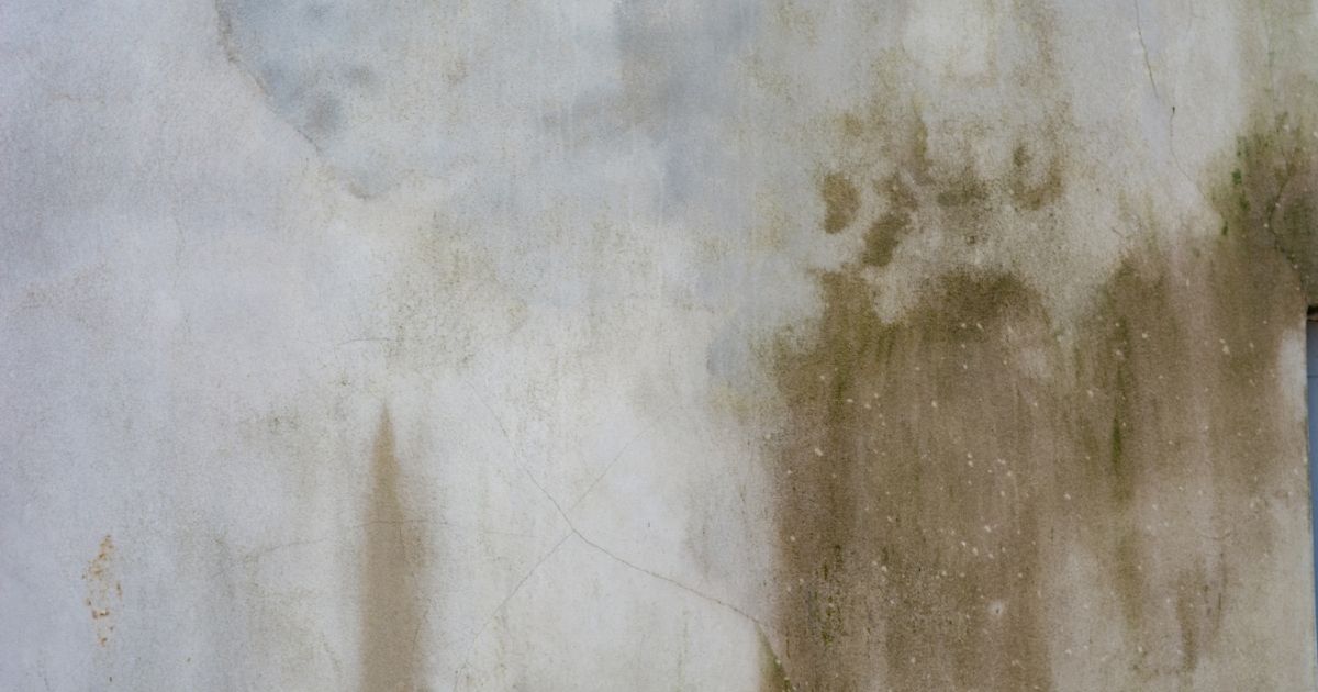 Damp outer wall with stain