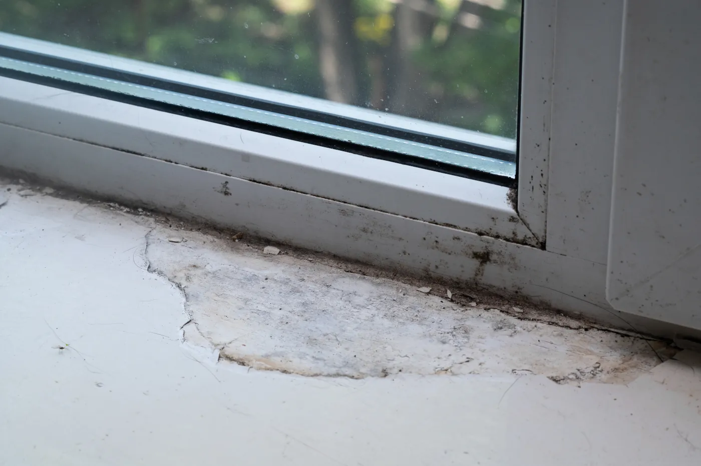 Window Sill Dry Rot: How to Identify, Repair, and Prevent Damage