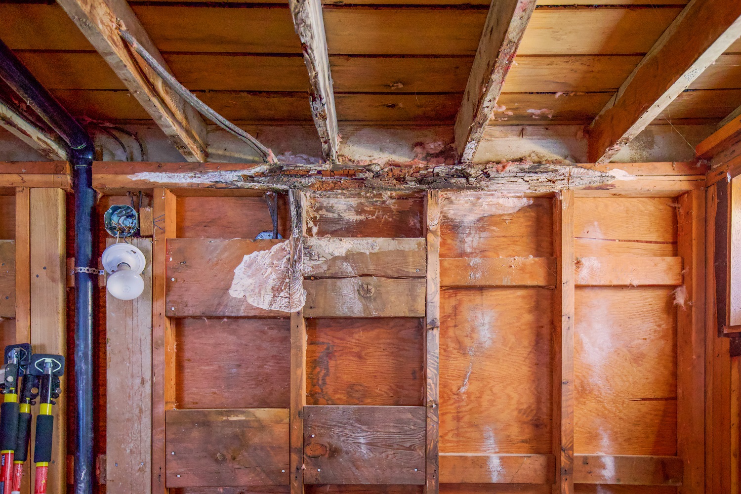  Structural rot in a basement wall due to trapped moisture in wood