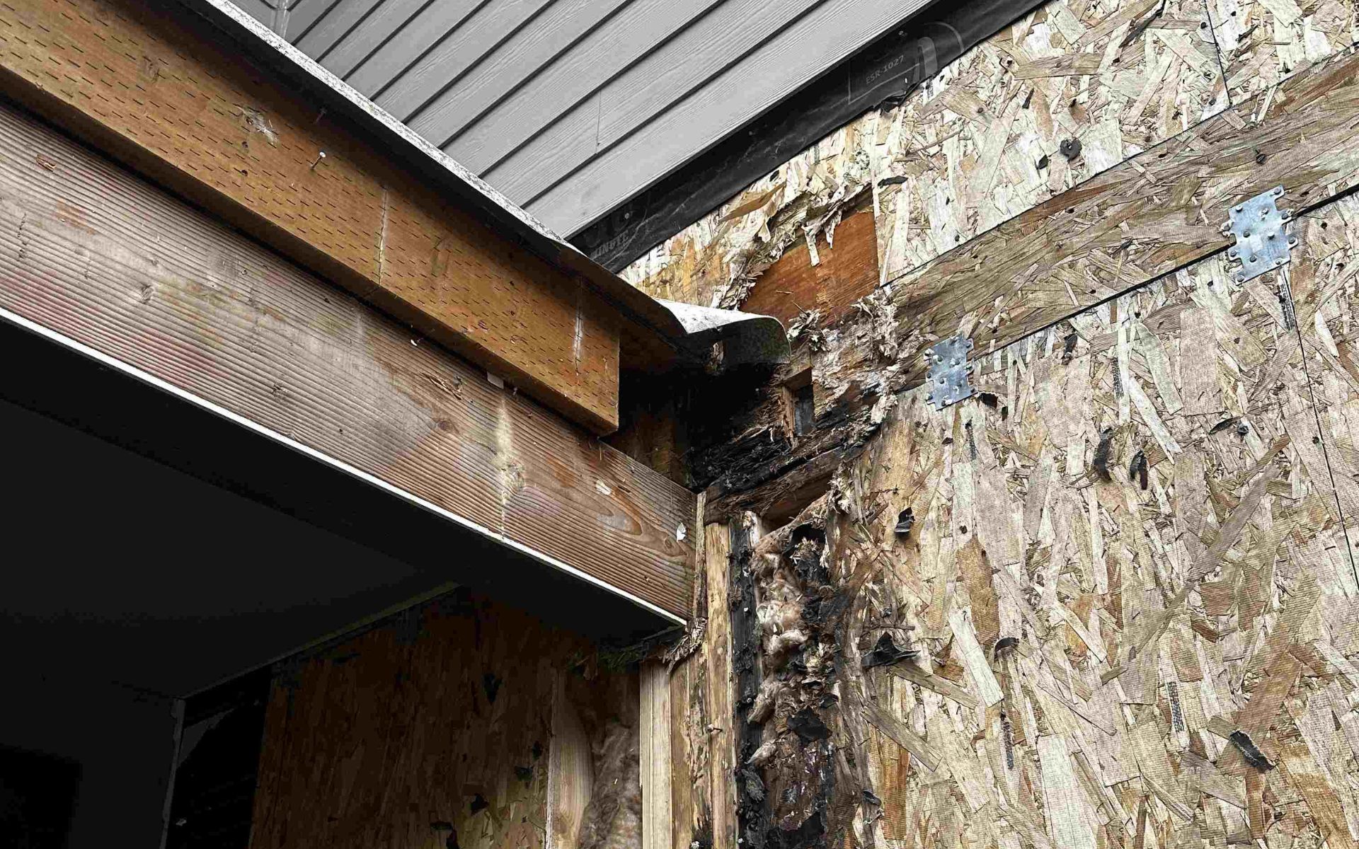 Best Way to Stop Wood Rot From Spreading in Bellevue Homes