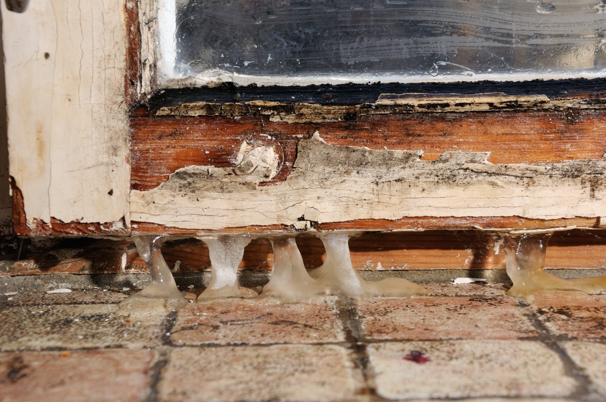 Failed flashing causing siding leaking around window