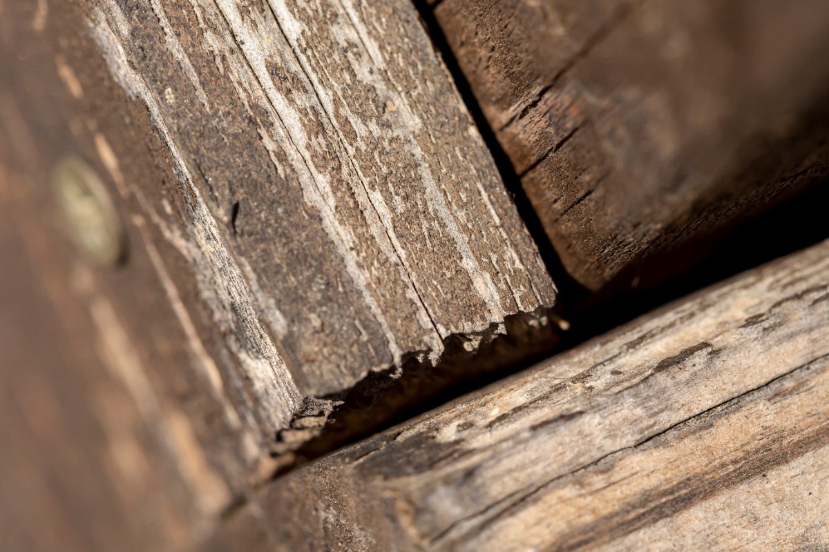 Rotted deck ledger board before wood rot repair