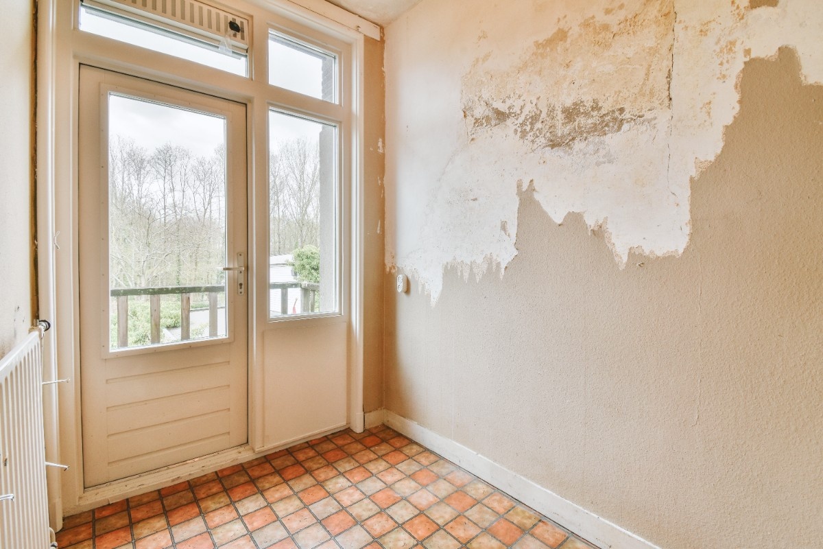 A wall of a room in a Bellevue home showing signs of rot