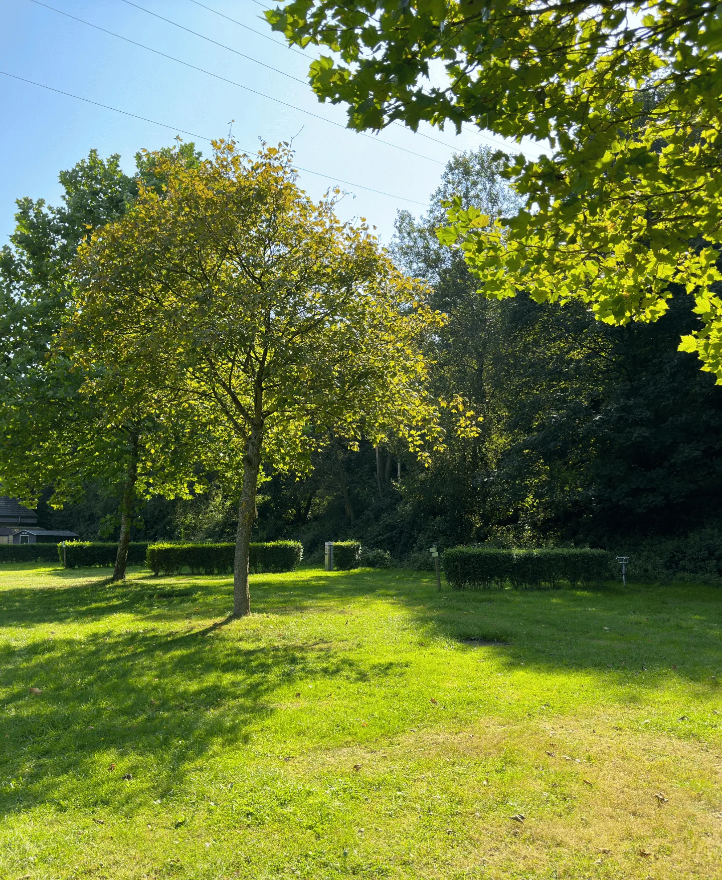 Grüner Premiumstellplatz am Campingplatz Heimbach