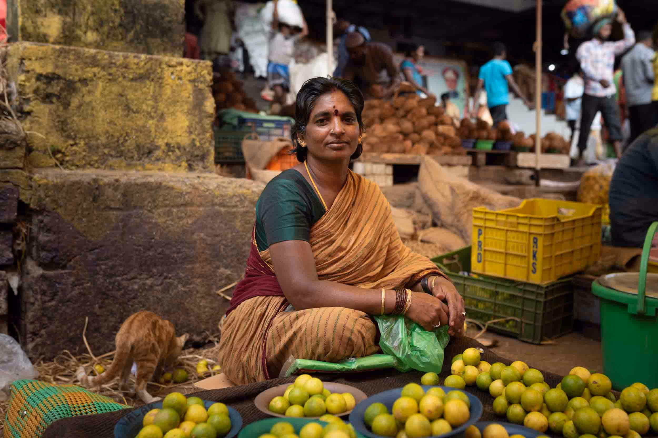 An Indian woman sits in front of a table full of fruit that she is selling.