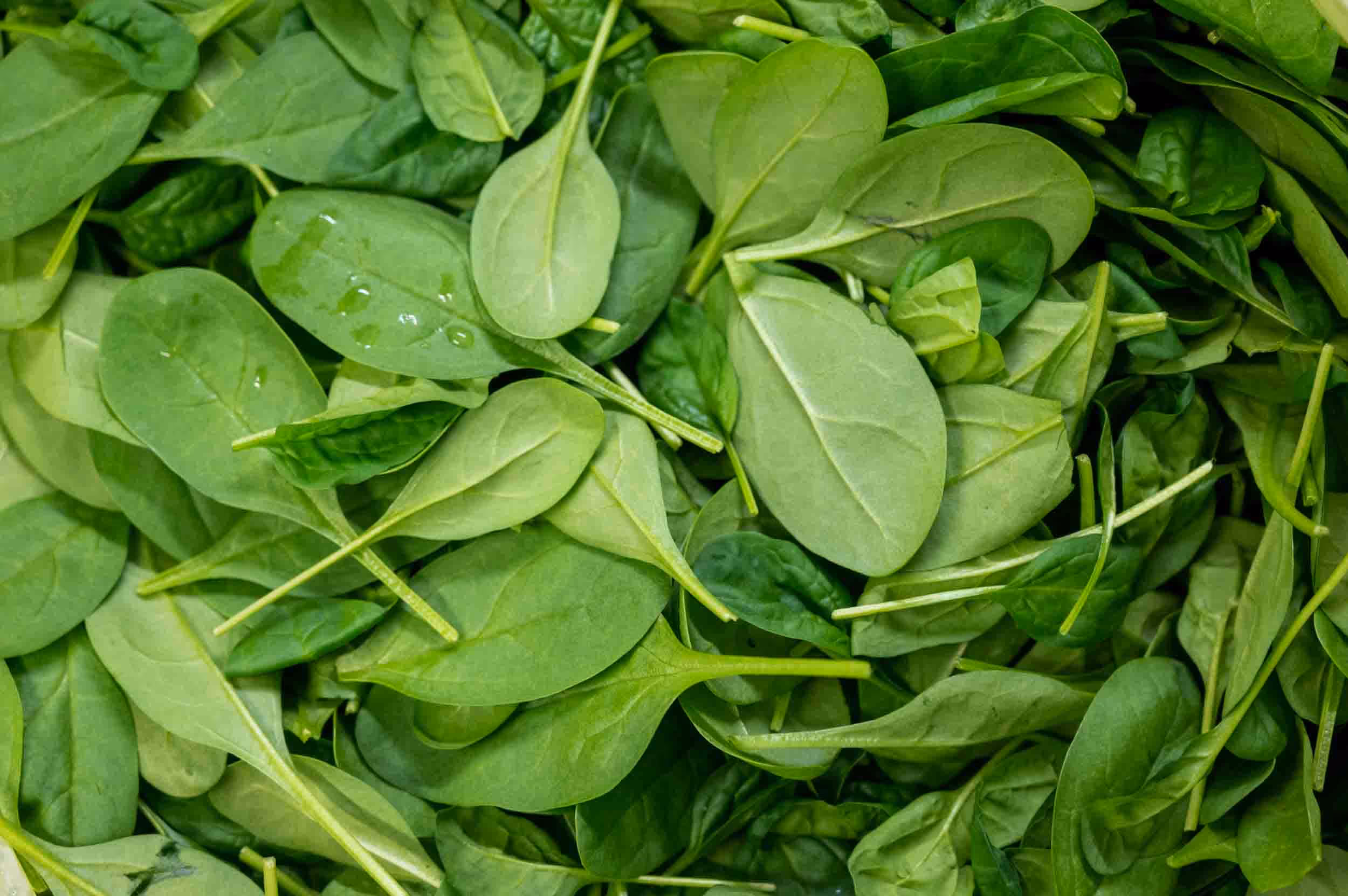 A bunch of basil on a table.